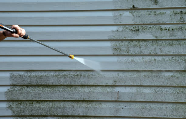 Professional Pressure Washing Services in Highland Heights, KY